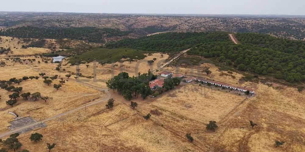 Herdade do Topo · Montes da Janeila e Junqueira · Serpa 3