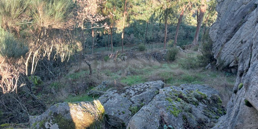 Terrenos e Meações de Terrenos · Carvalho de Rei, Amarante 16