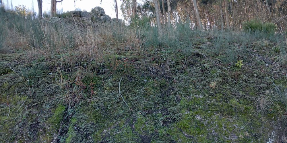 Terrenos e Meações de Terrenos · Carvalho de Rei, Amarante 17