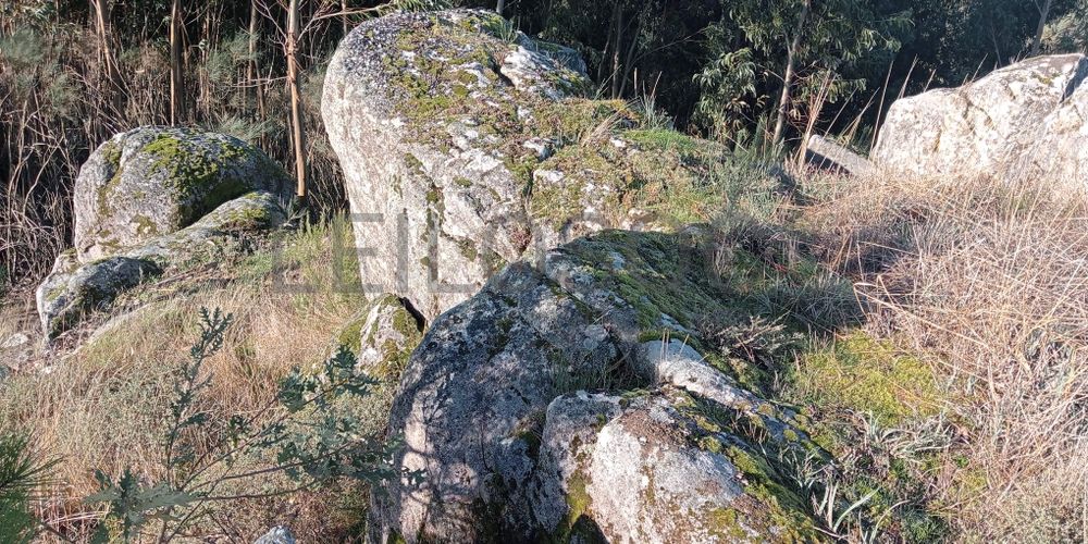 Terrenos e Meações de Terrenos · Carvalho de Rei, Amarante 19