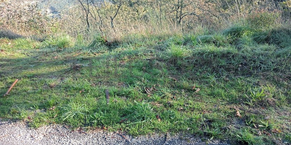 Terrenos e Meações de Terrenos · Carvalho de Rei, Amarante 2