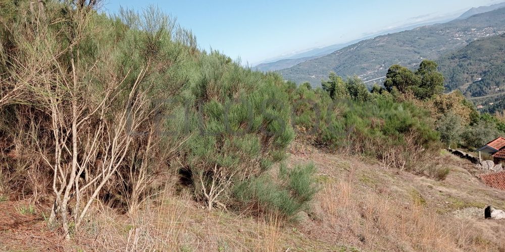 Terrenos e Meações de Terrenos · Carvalho de Rei, Amarante 13