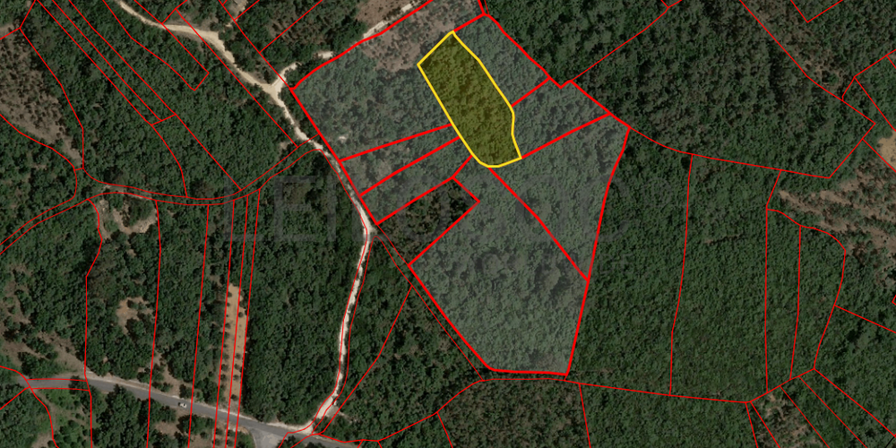 Terreno com 2.260,00 m² · Juncal, Porto de Mós 5