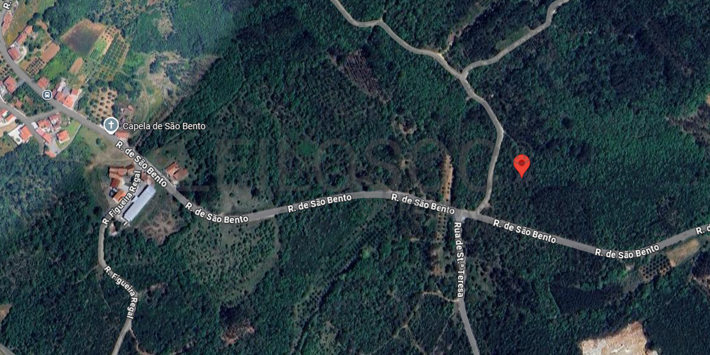 Terreno com 2.260,00 m² · Juncal, Porto de Mós 6