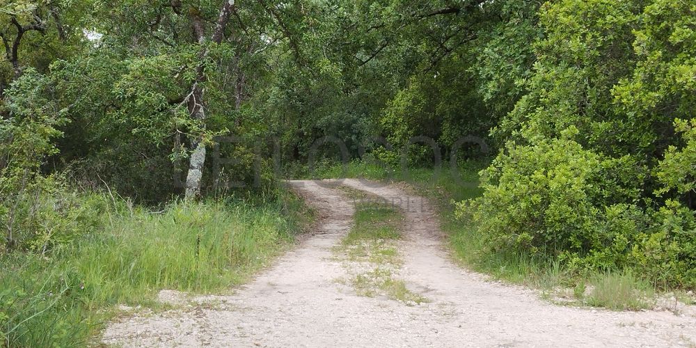 Terreno com 2.600,00 m² · Juncal, Porto de Mós