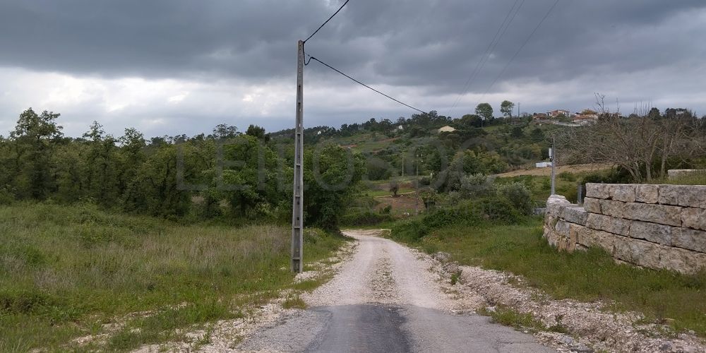 Terreno com 2.600,00 m² · Juncal, Porto de Mós (3/5)