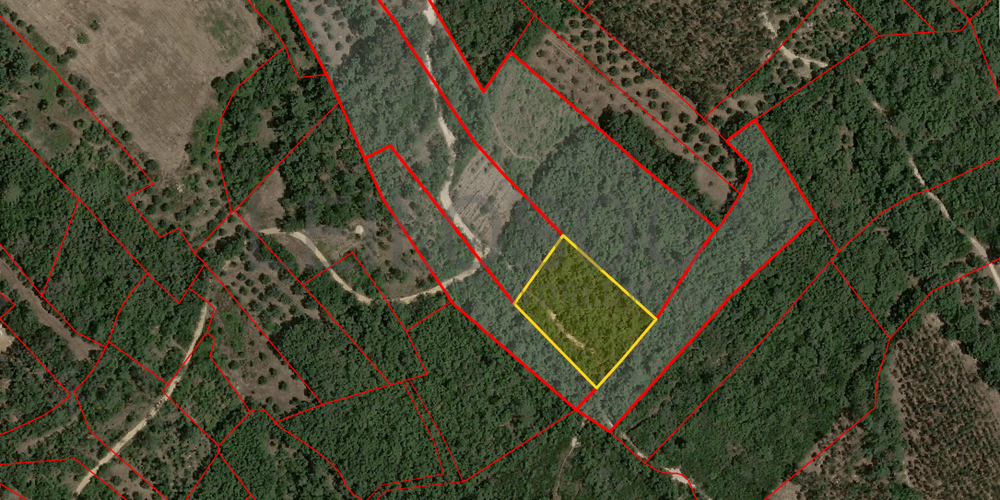Terreno com 2.600,00 m² · Juncal, Porto de Mós (4/5)