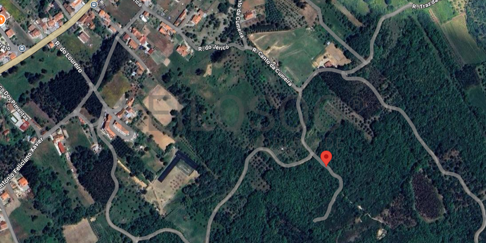 Terreno com 2.600,00 m² · Juncal, Porto de Mós (5/5)