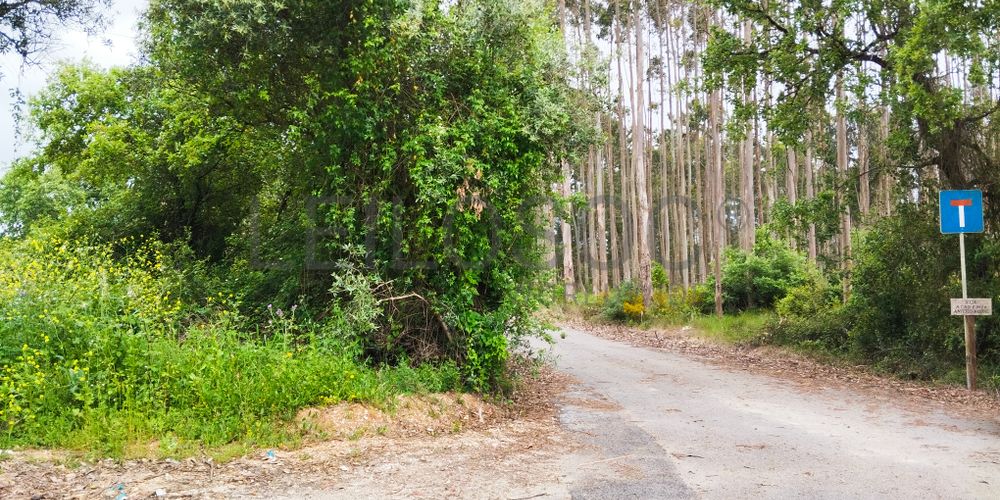 Terreno com 1.880,00 m² · Pedreiras, Porto de Mós 3