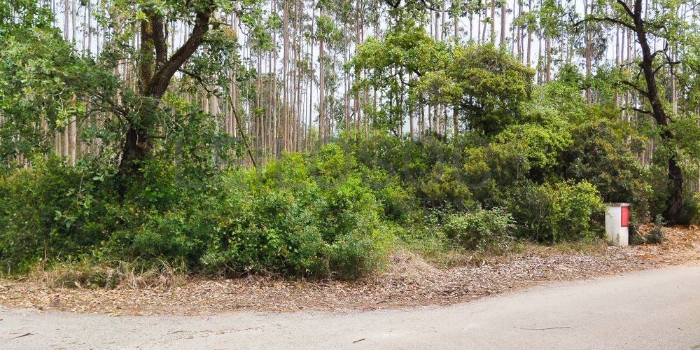 Terreno com 1.880,00 m² · Pedreiras, Porto de Mós 2
