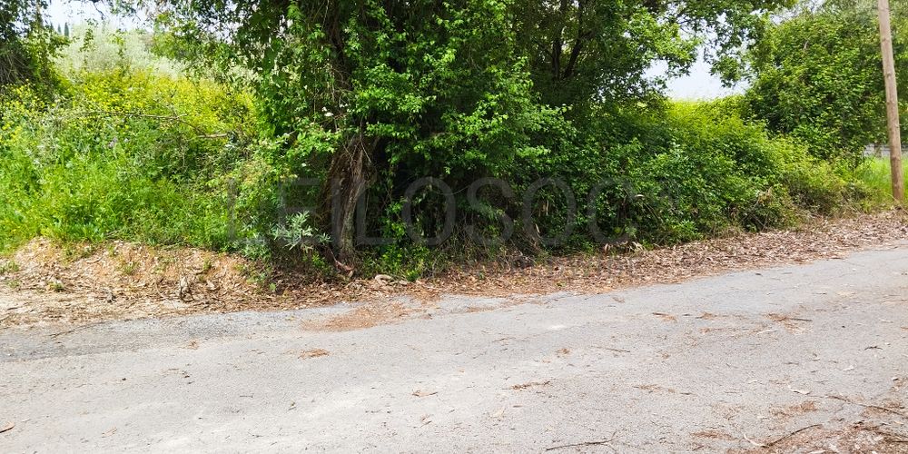 Terreno com 1.880,00 m² · Pedreiras, Porto de Mós 6