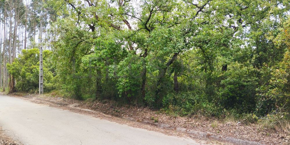 Terreno com 1.880,00 m² · Pedreiras, Porto de Mós