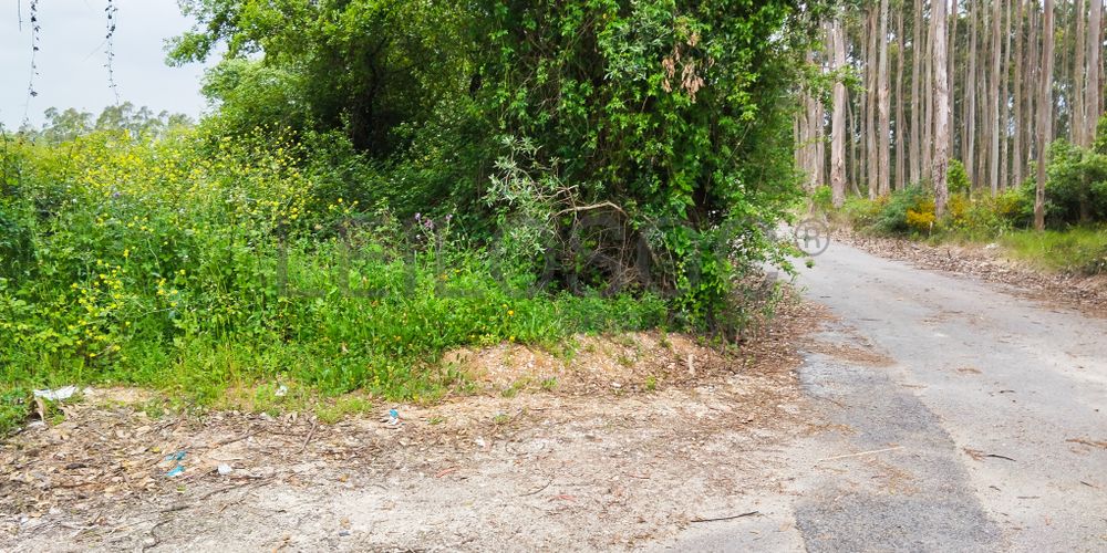 Terreno com 1.880,00 m² · Pedreiras, Porto de Mós 4