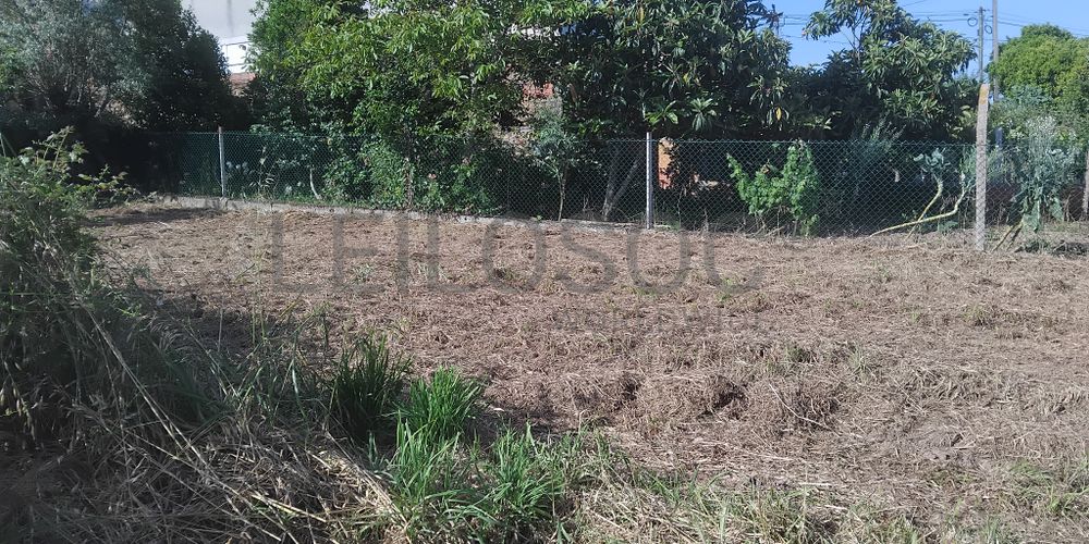 Terrenos · Águeda 4