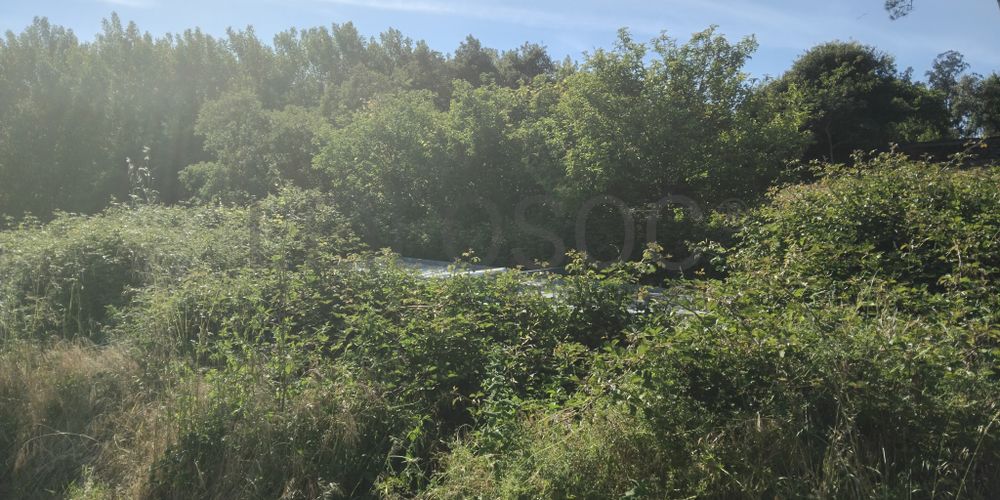 Terrenos · Águeda 5