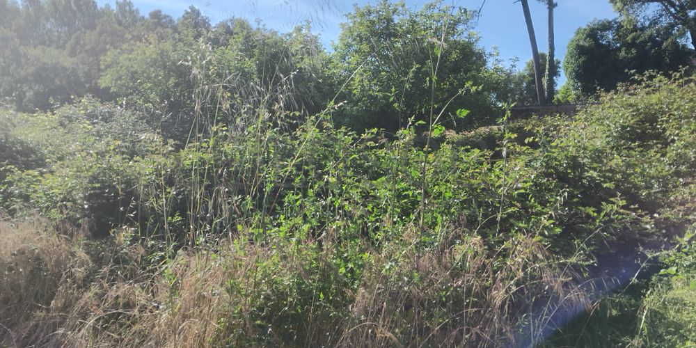 Terrenos · Águeda 6