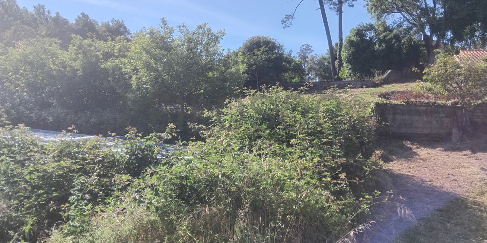 Terrenos · Águeda 3