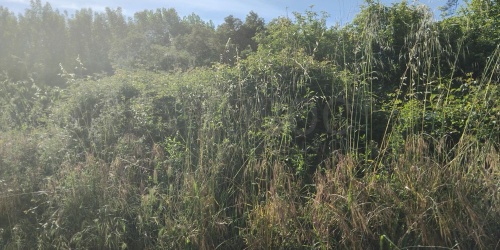 Terrenos · Águeda 7