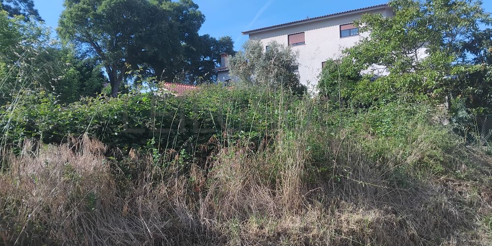 Terrenos · Águeda 2