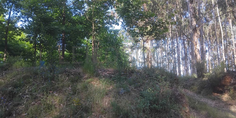 Terreno com 750 m² · Águeda