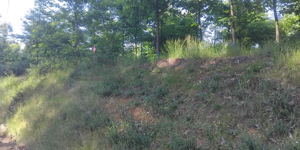 Terreno com 750 m² · Águeda 5