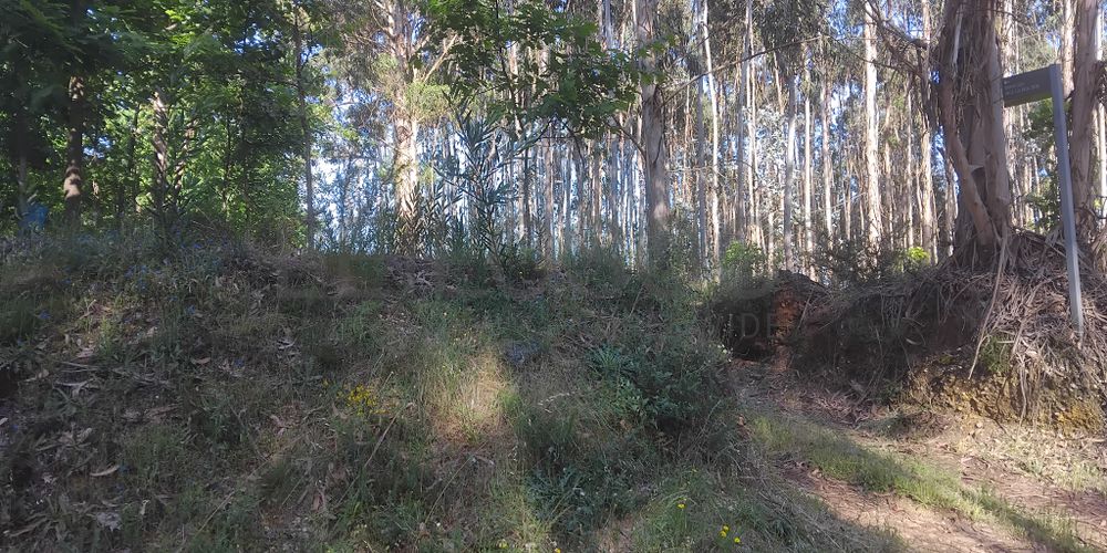 Terreno com 750 m² · Águeda 4
