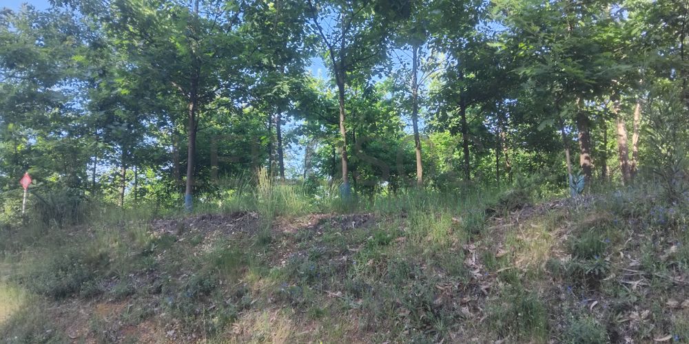 Terreno com 750 m² · Águeda 3