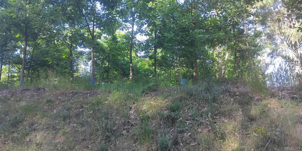 Terreno com 750 m² · Águeda 2