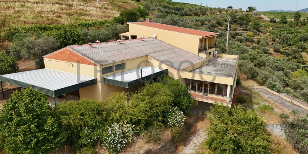 Quinta da Castainça · Castedo, Alijó 3