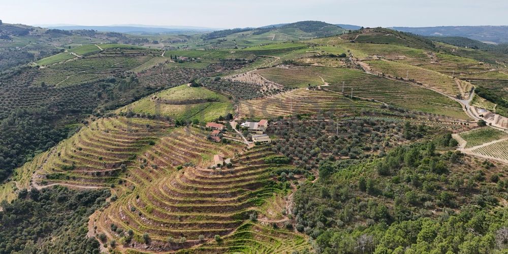 Quinta da Castainça · Castedo, Alijó 15