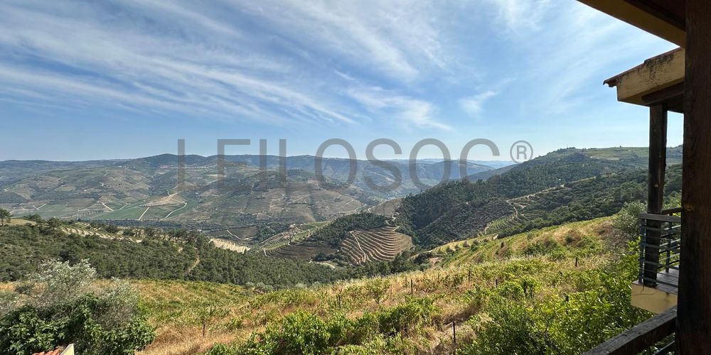 Quinta da Castainça · Castedo, Alijó 7