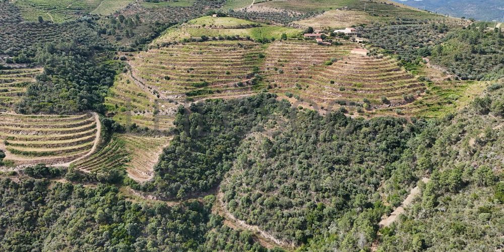 Quinta da Castainça · Castedo, Alijó 17