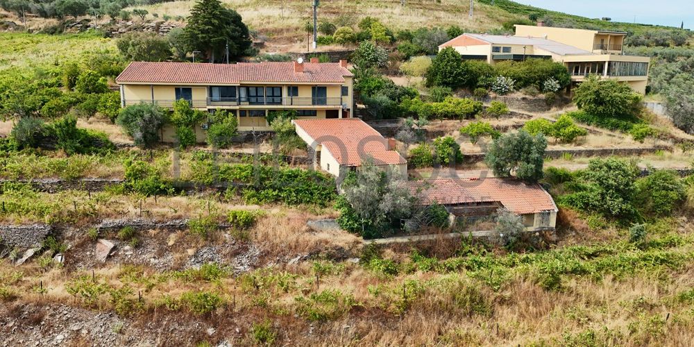 Quinta da Castainça · Castedo, Alijó 6