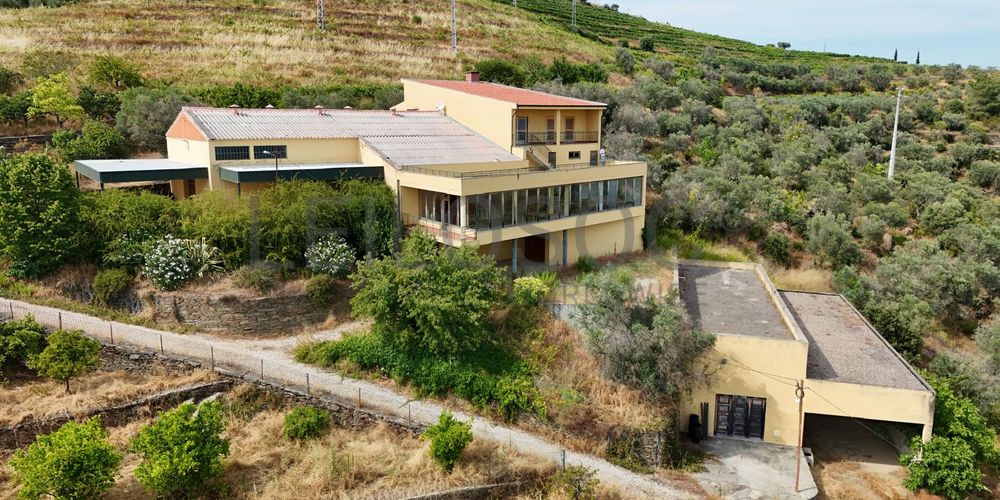 Quinta da Castainça · Castedo, Alijó 2