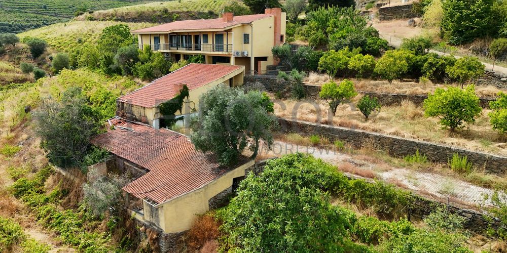 Quinta da Castainça · Castedo, Alijó 5