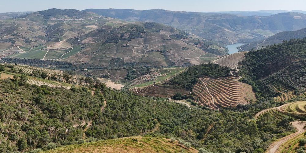 Quinta da Castainça · Castedo, Alijó 18