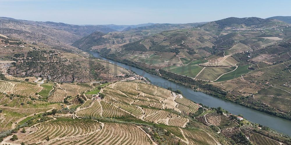 Quinta da Castainça · Castedo, Alijó 19