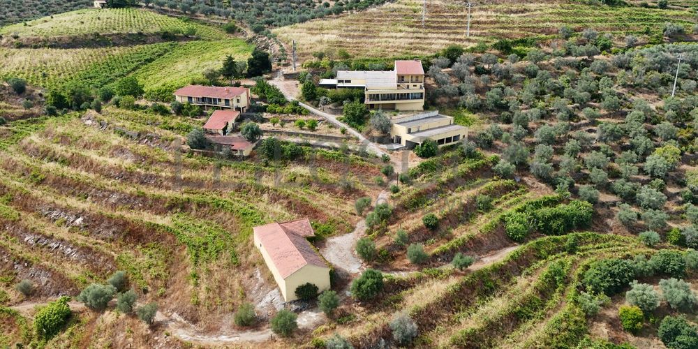 Quinta da Castainça · Castedo, Alijó 11