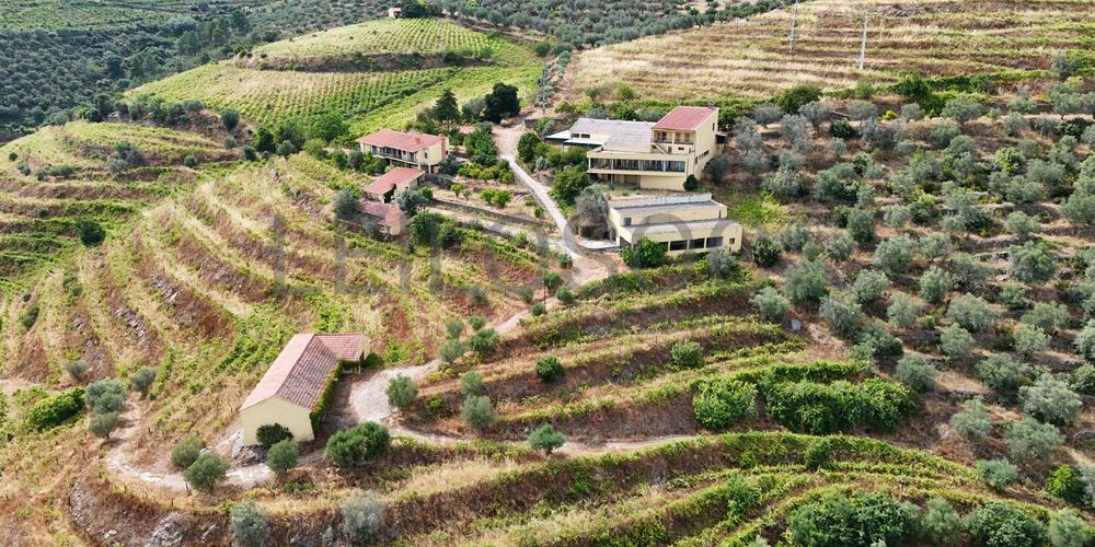 Quinta da Castainça · Castedo, Alijó 13