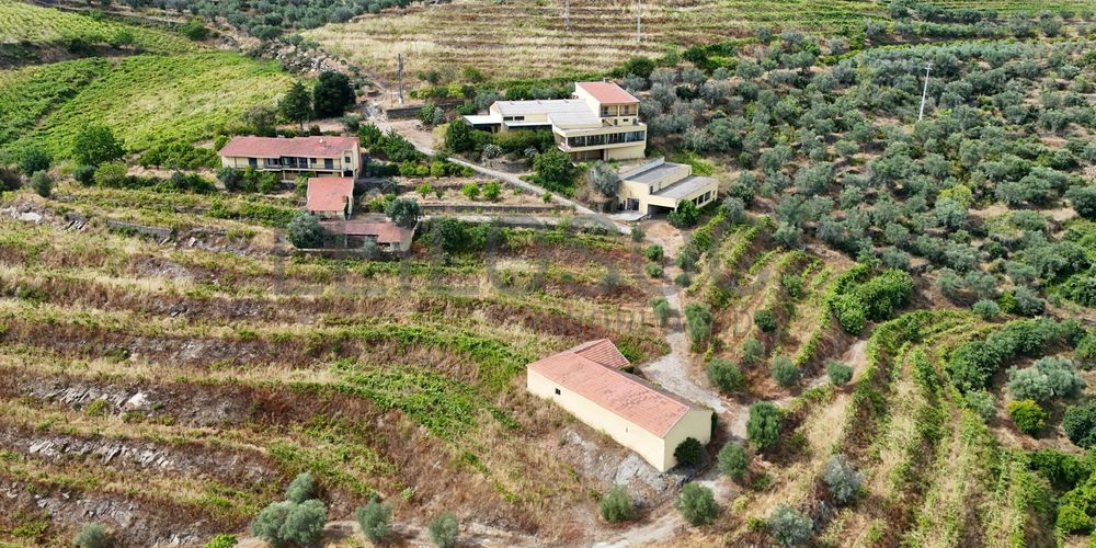 Quinta da Castainça · Castedo, Alijó 12