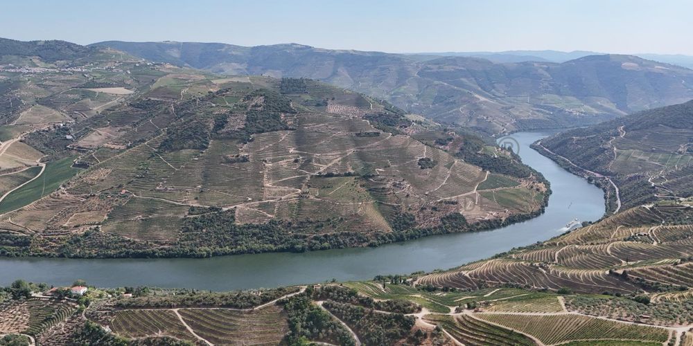 Quinta da Castainça · Castedo, Alijó 20