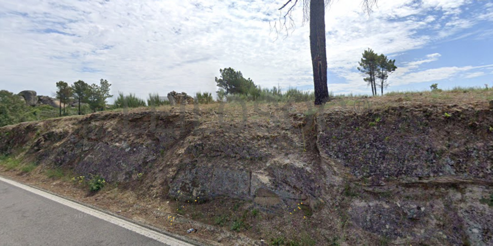 Terreno com 28.000 m² · Jarmelo São Pedro, Guarda 2