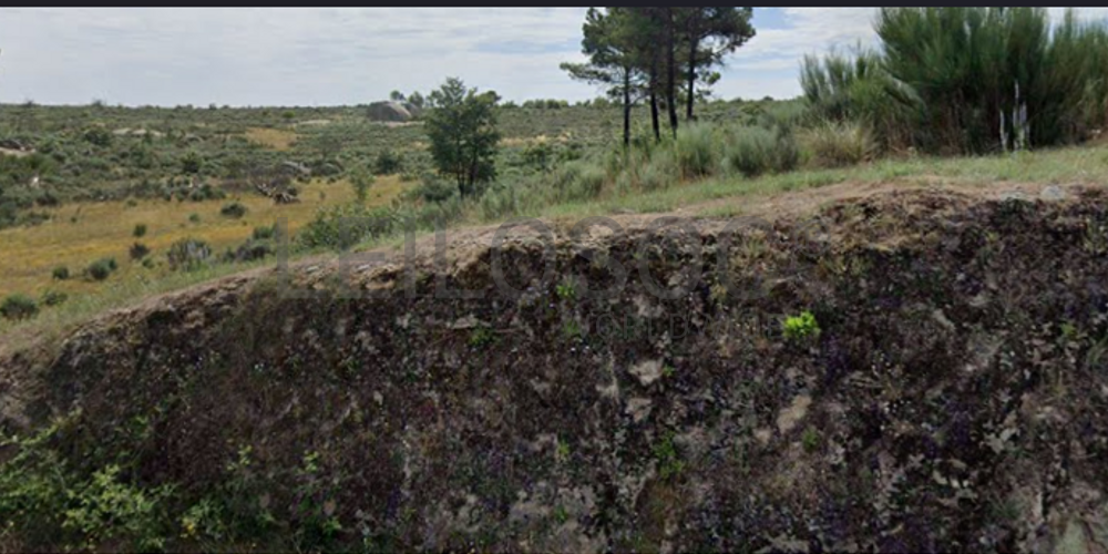 Terreno com 28.000 m² · Jarmelo São Pedro, Guarda 3