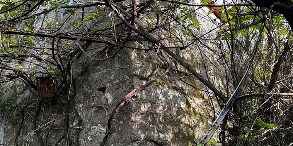 Moradia em Ruínas · Abragão, Penafiel (4/4)