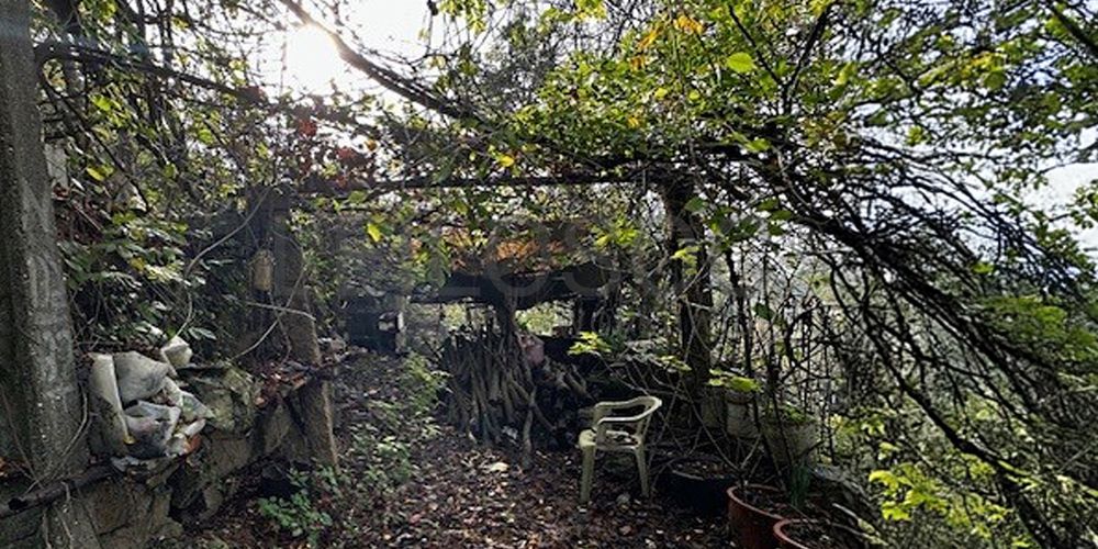 Moradia em Ruínas · Abragão, Penafiel (2/4)