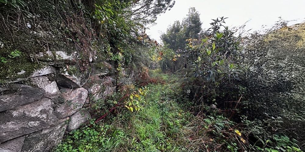 Moradia em Ruínas · Abragão, Penafiel