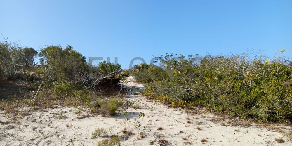 Infraestruturas em terreno com 5 hectares 3