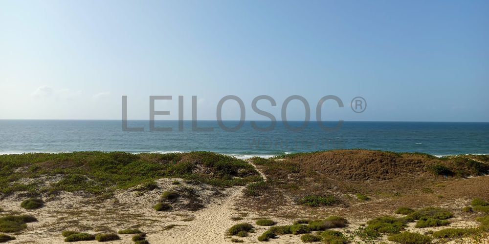 Infraestruturas em terreno com 5 hectares 7