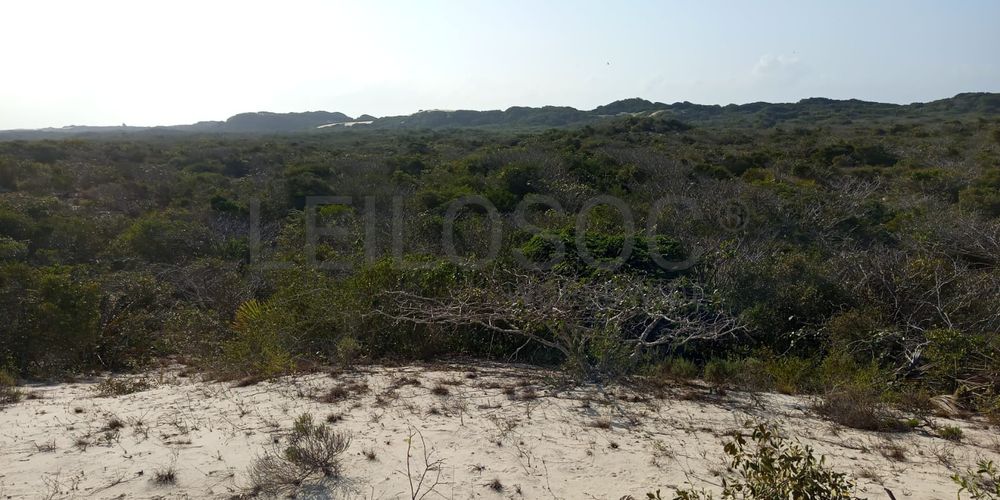 Infraestruturas em terreno com 5 hectares 13