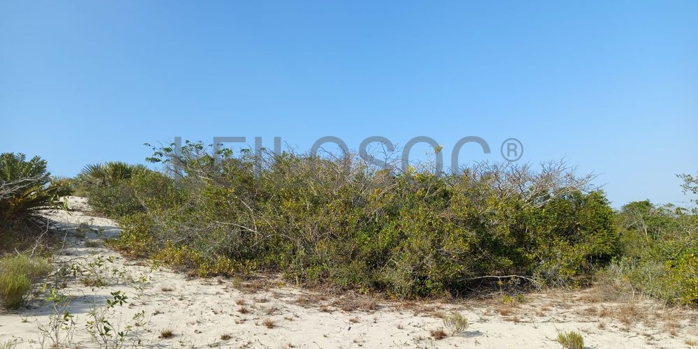 Infraestruturas em terreno com 5 hectares 4